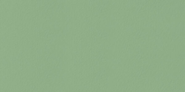 سرامیک آیلند سبز مات گلدیس کاشی ۶۰*۱۲۰