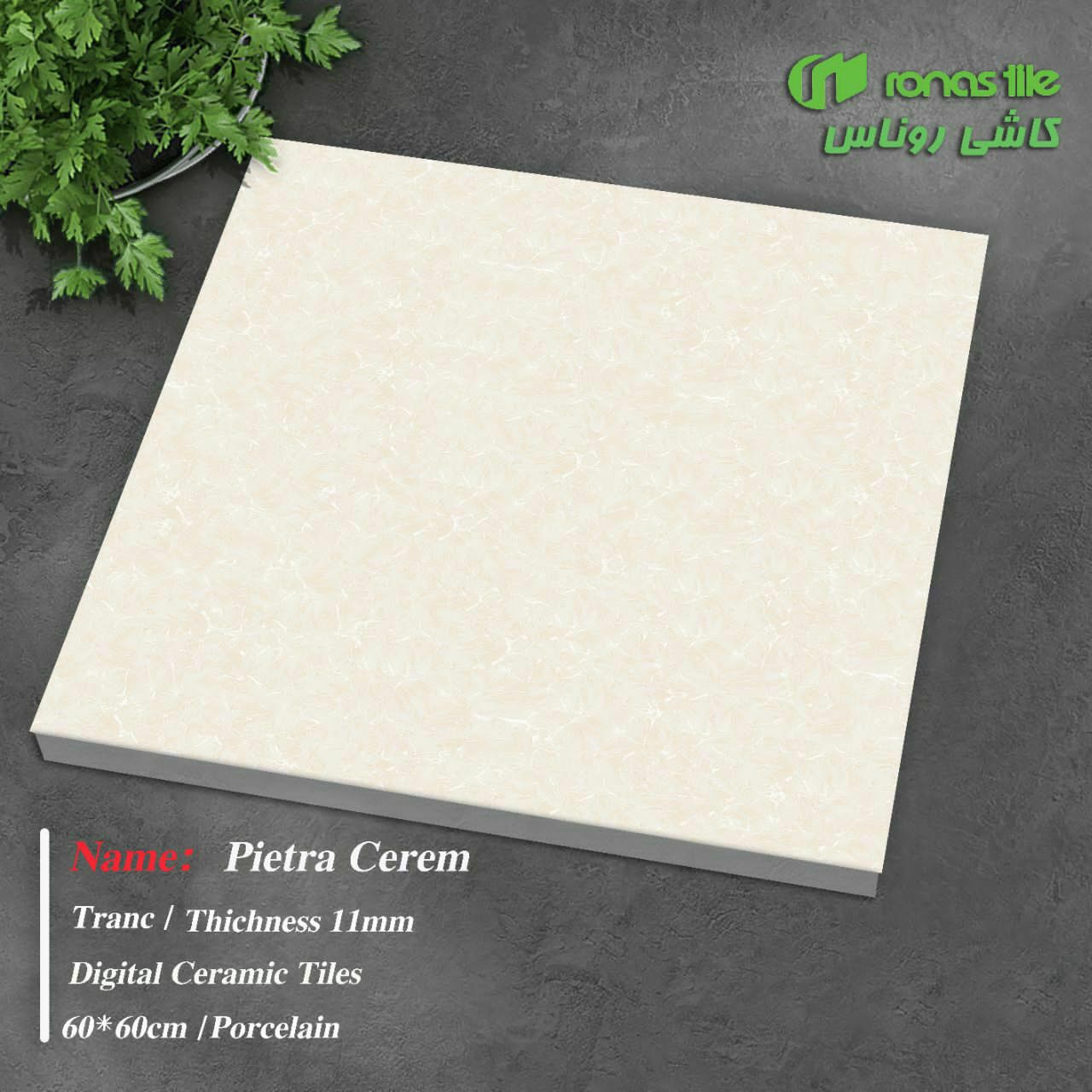 سرامیک کف پیترا براق روناس 60*60 - Image 2