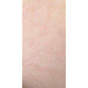 کاشی آذرخش براق صدیق سرام 30*60