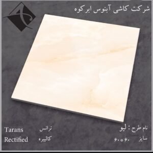سرامیک لیو براق آبنوس 60*60
