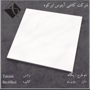 سرامیک پگاه براق آبنوس 60*60